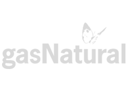 gasNatural